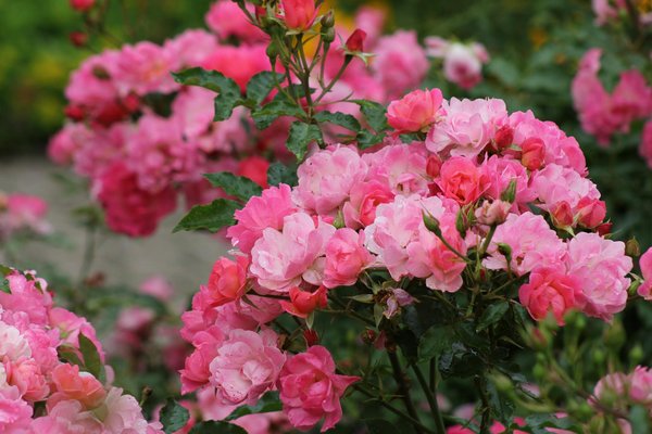 Maximizing Space: Top Strategies for Organizing Digital Home Entertainment in a Cozy Swansea Flat